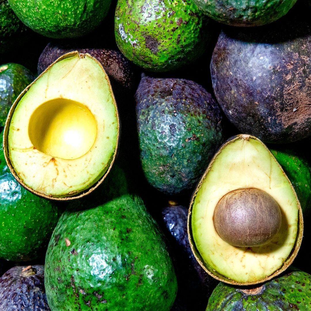 frutas tropical avocados